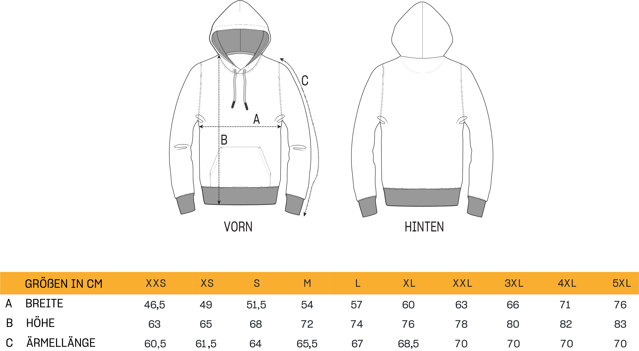 Hoodie LAUSITZ grau