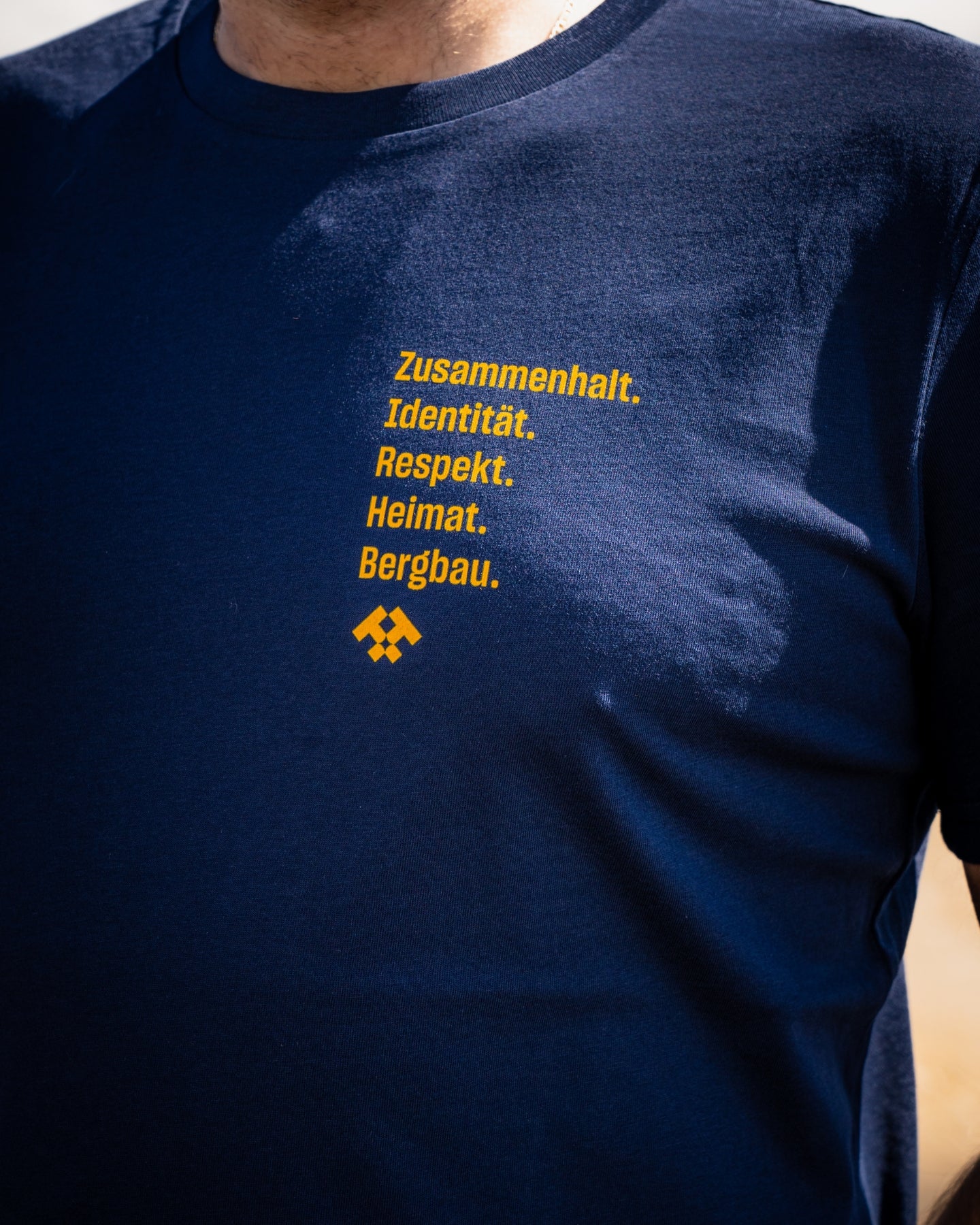 T-Shirt Herren WERTE blau