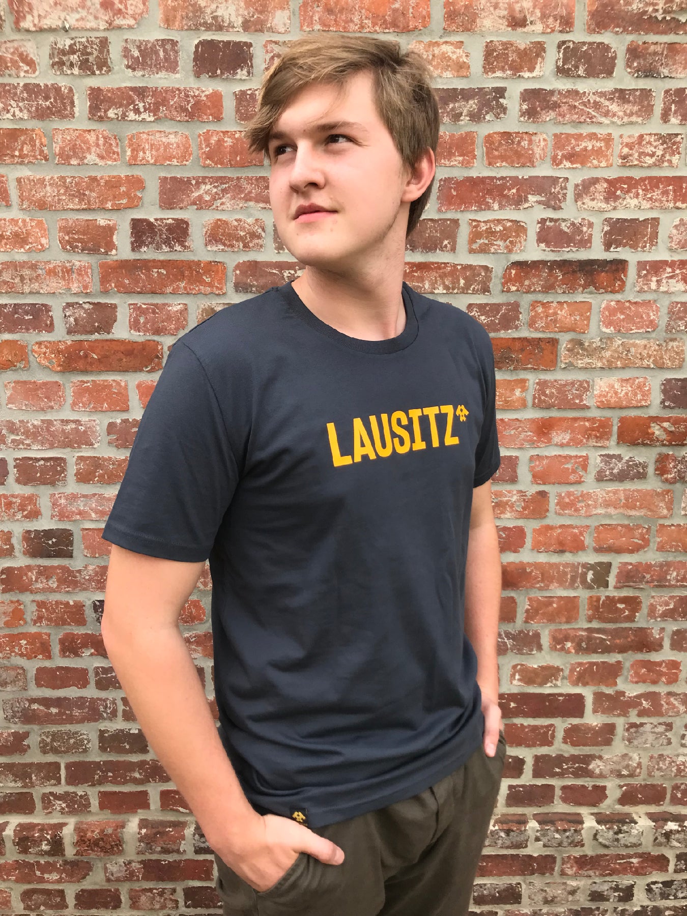 T-Shirt Herren LAUSITZ grau