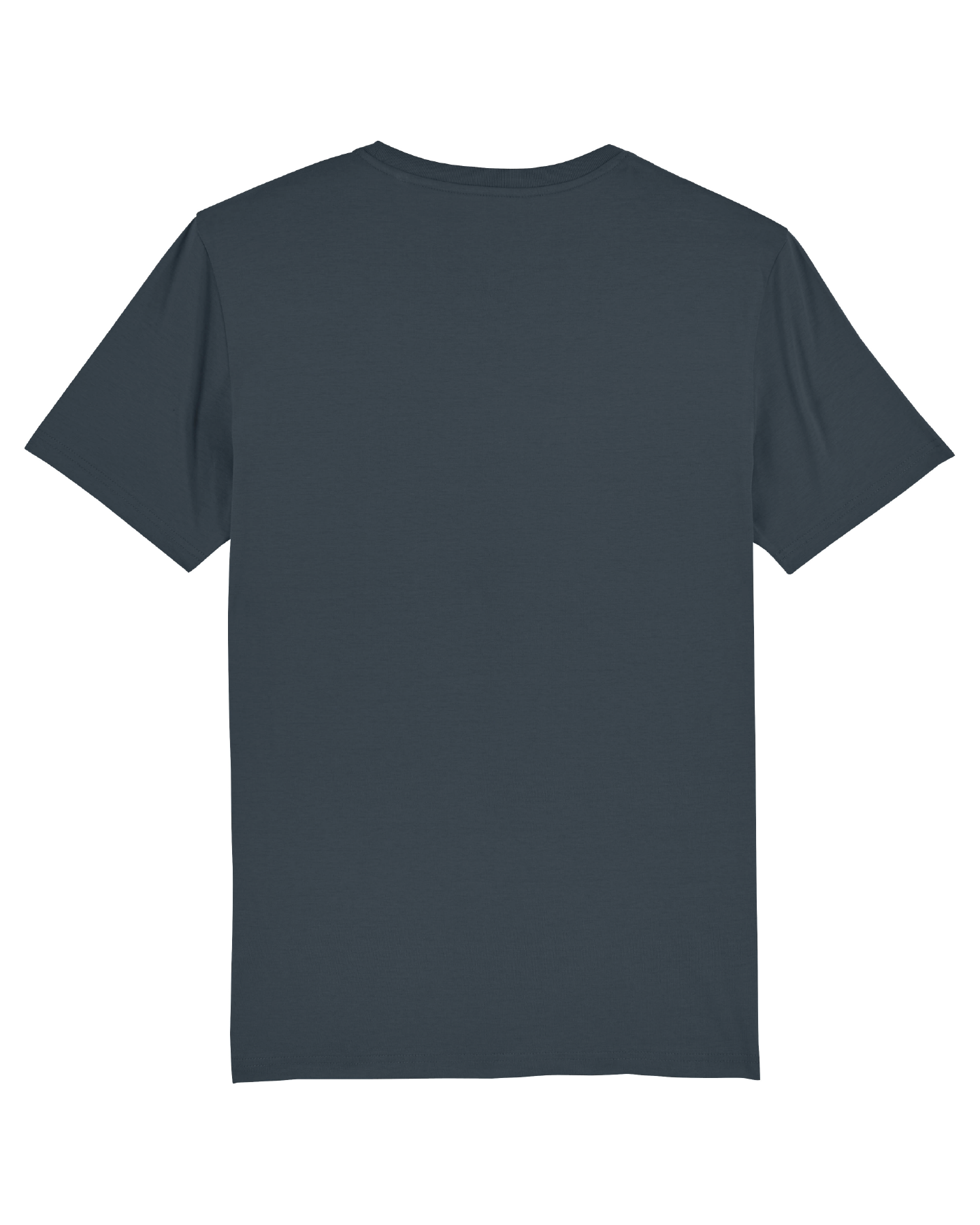 T-Shirt Herren LAUSITZ grau