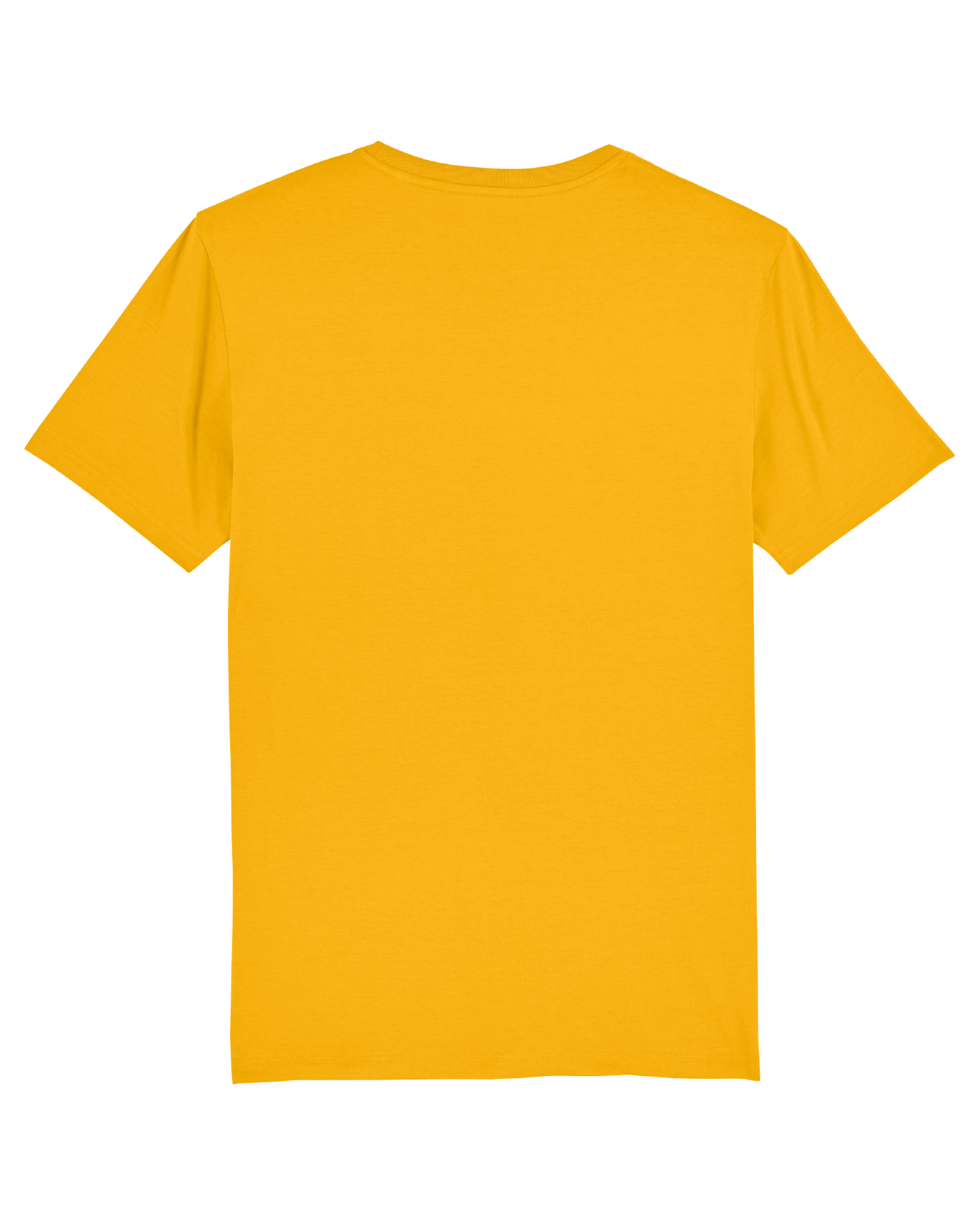 T-Shirt Herren LAUSITZ gelb