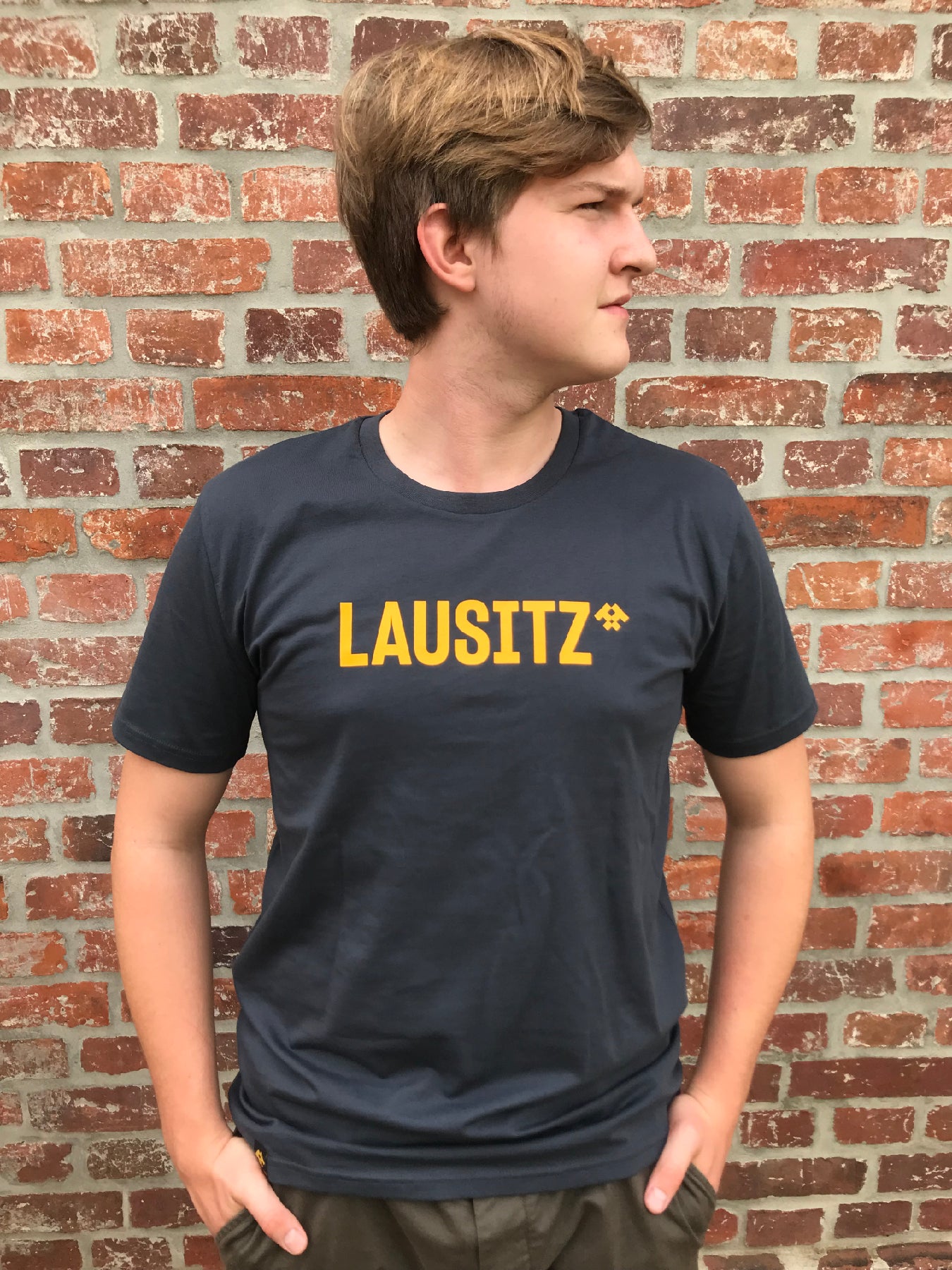 T-Shirt Herren LAUSITZ grau